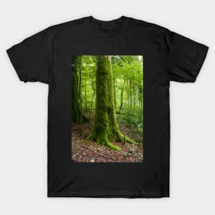 Moss-covered Tree T-Shirt